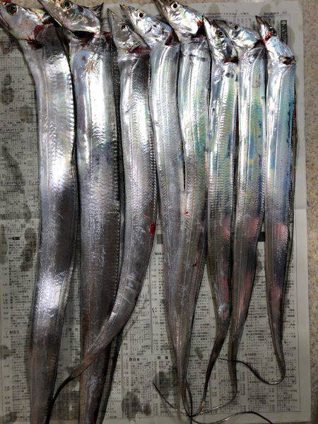 夕まずめチャレンジ(^^)