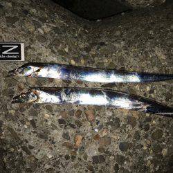 渋い、昨日の雨の影響かな？