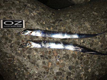 渋い、昨日の雨の影響かな？