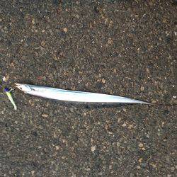 午前からの午後補講