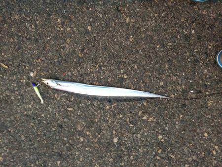 午前からの午後補講