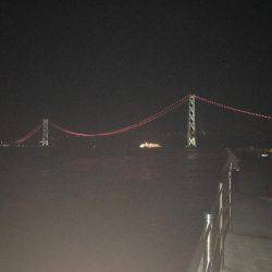 アオリイカを求めて