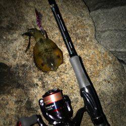 昨日届いたエギを試したくて