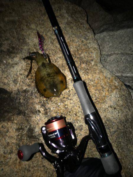 昨日届いたエギを試したくて