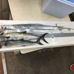 太刀魚エサ釣り