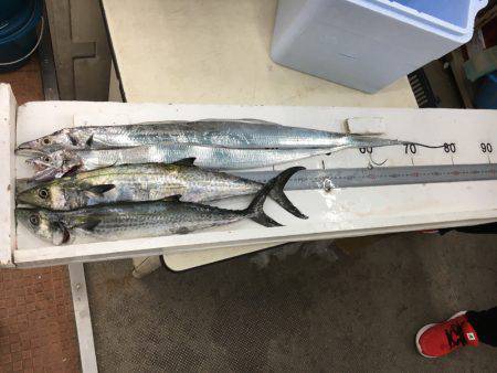 太刀魚エサ釣り