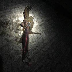 大潮、満月❗️