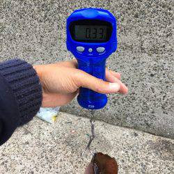 デジタルスケール買っちゃった☆