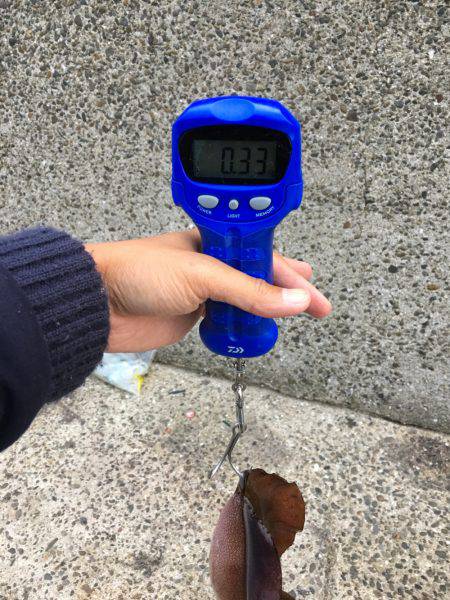 デジタルスケール買っちゃった☆