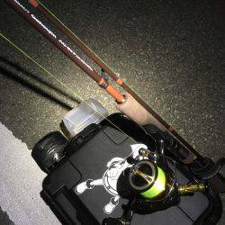 僕には難しかった。