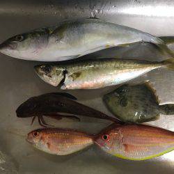 ボートで五目釣り！