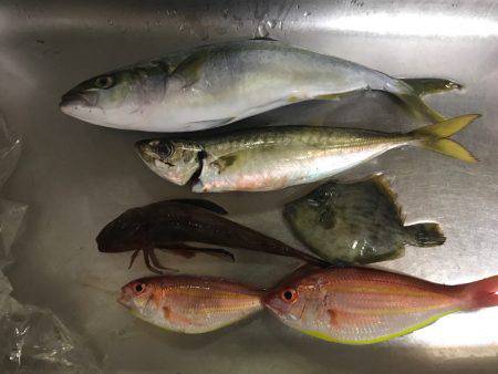 ボートで五目釣り！