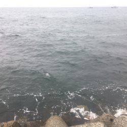 悪天候のなかエソ