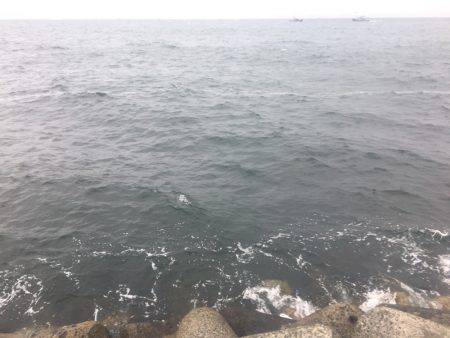 悪天候のなかエソ