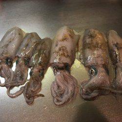 天気予報は雨なのに…それでも釣行