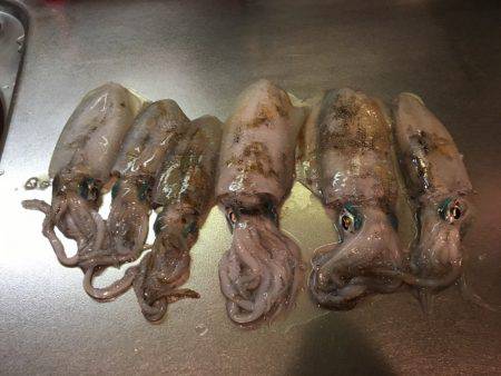 天気予報は雨なのに…それでも釣行