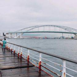 良く釣れました