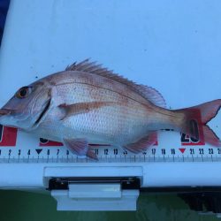 青木丸で大漁！