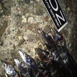 昨日の雨の影響、皆無！