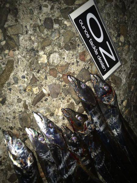 昨日の雨の影響、皆無！