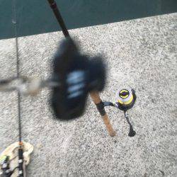 明け方 タチウオ 明けてエソ