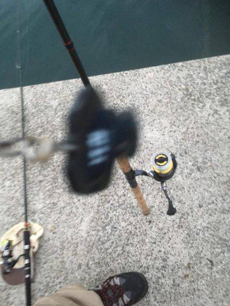 明け方 タチウオ 明けてエソ