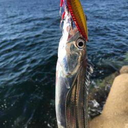 シブいなぁ〜。