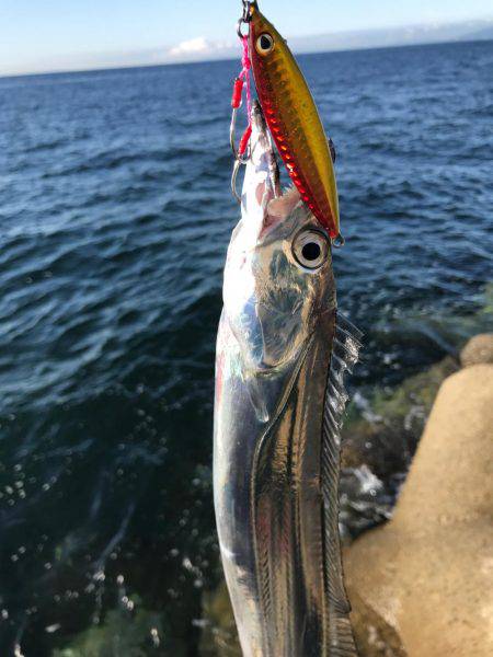 シブいなぁ〜。