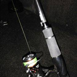 タチウオ爆釣と言ってもいいですか