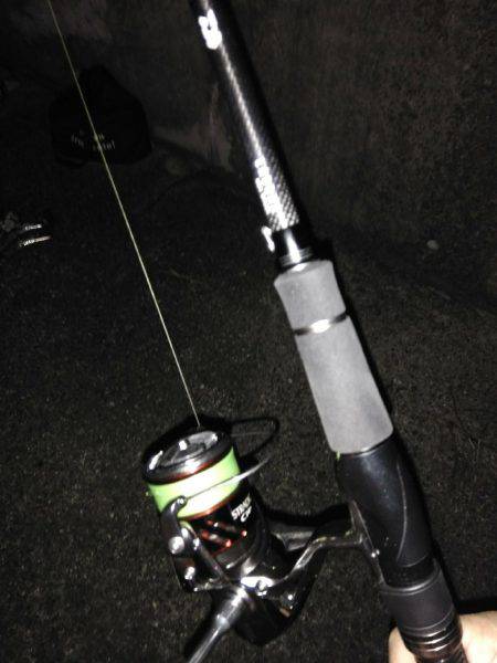 タチウオ爆釣と言ってもいいですか