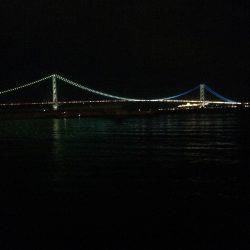 夕まずめエギング