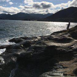 エギングでアオリイカ