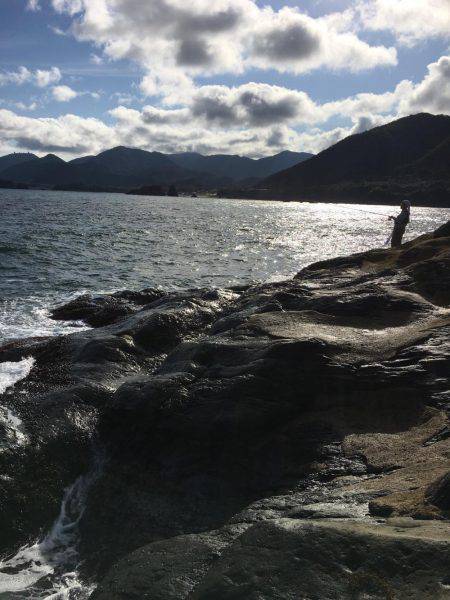 エギングでアオリイカ