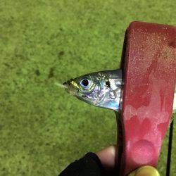 やばすぎる死ぬほど渋い