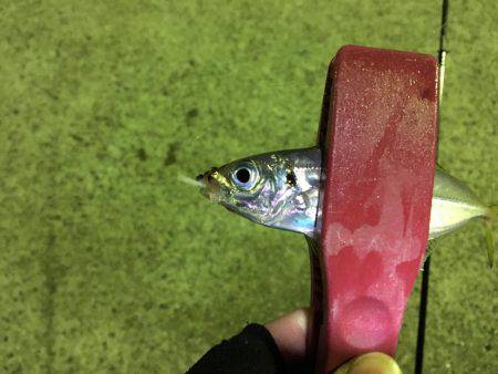 やばすぎる死ぬほど渋い