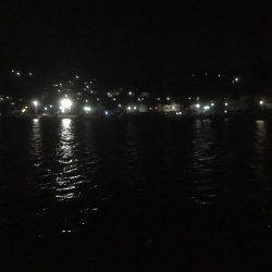 初めてのアオリイカ