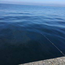 10ヒット8キャッチ まあまあかな。