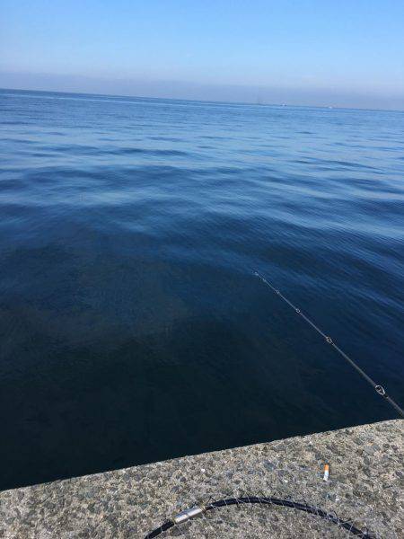 10ヒット8キャッチ まあまあかな。