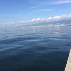 ショアジギング