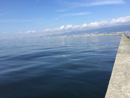 ショアジギング