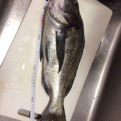 ポッパーでバコッ