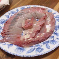 太刀魚 サゴシ ハマチに満足