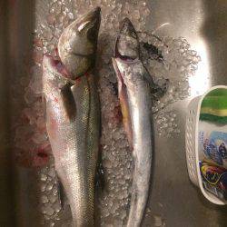 はやと丸 白灯台