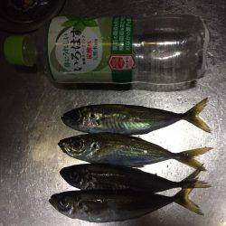 エギング&アジングの調査