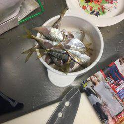 家族でカワハギング