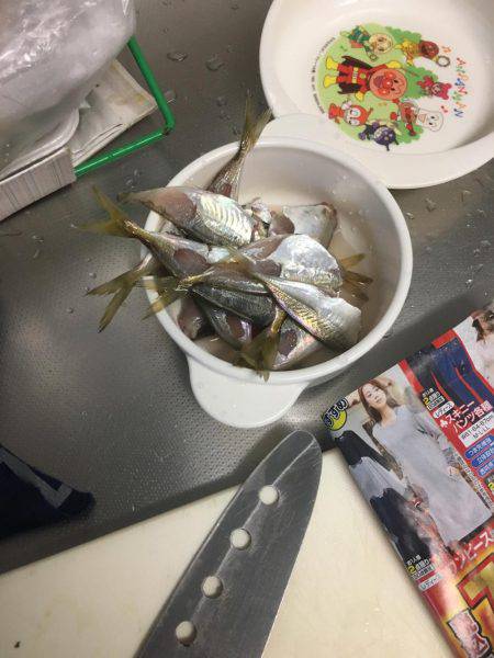 家族でカワハギング