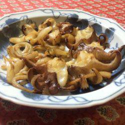 コウイカ狙って