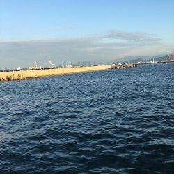 ただ巻きワインド