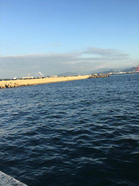 ただ巻きワインド