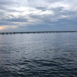 調子乗ってアジング